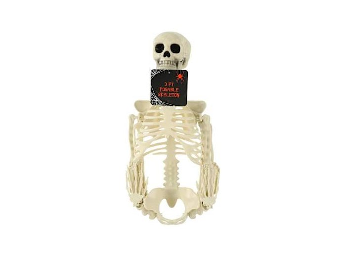 Posable Skeleton