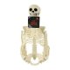 Posable Skeleton