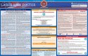 Labor Law Poster